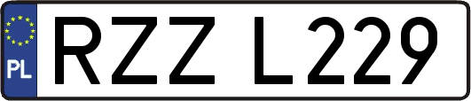 RZZL229