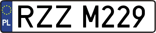 RZZM229