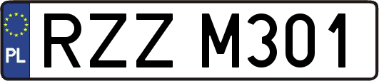 RZZM301