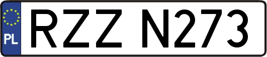 RZZN273