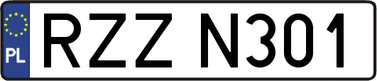 RZZN301