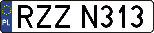 RZZN313