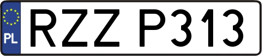 RZZP313