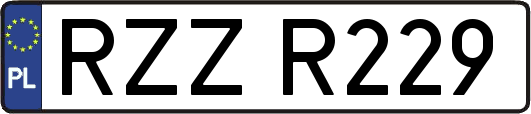 RZZR229