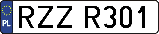 RZZR301