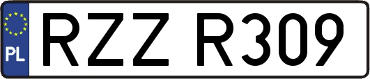 RZZR309
