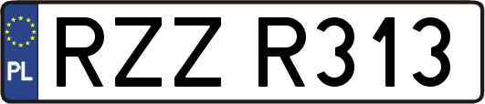 RZZR313