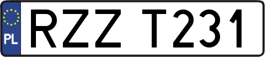 RZZT231