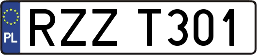 RZZT301