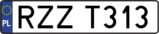 RZZT313