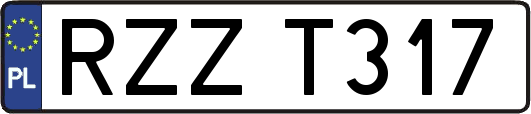 RZZT317