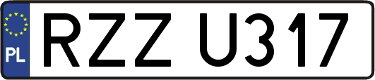 RZZU317