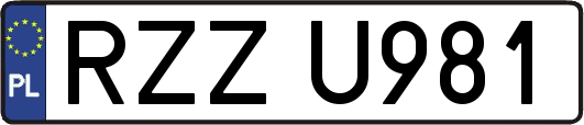 RZZU981
