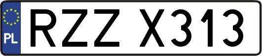 RZZX313