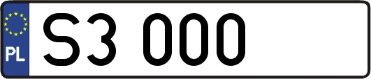 S3000