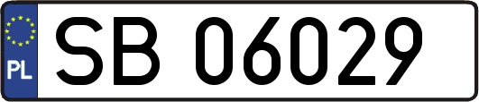 SB06029