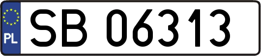 SB06313