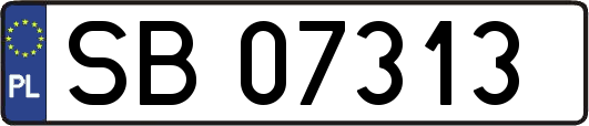 SB07313