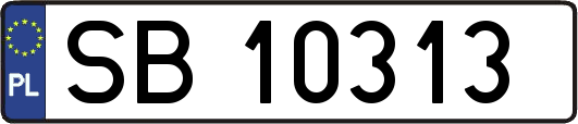 SB10313