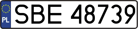 SBE48739