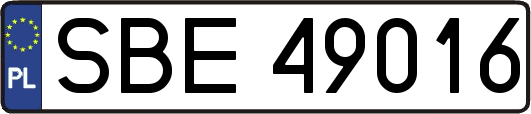 SBE49016