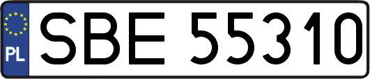 SBE55310