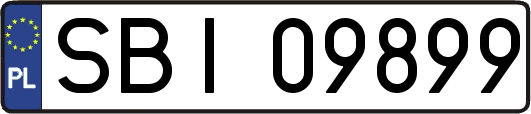 SBI09899