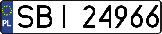 SBI24966
