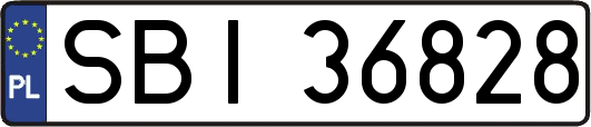 SBI36828