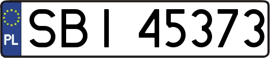 SBI45373