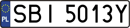 SBI5013Y