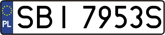 SBI7953S
