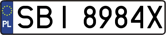 SBI8984X