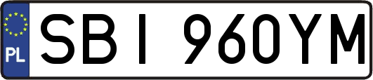 SBI960YM
