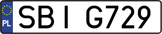 SBIG729