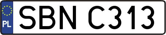 SBNC313