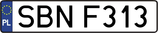 SBNF313