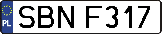 SBNF317