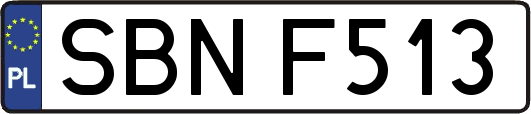 SBNF513