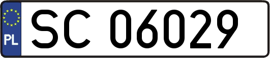 SC06029