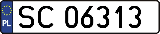 SC06313