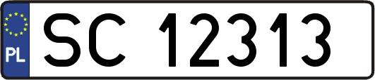 SC12313
