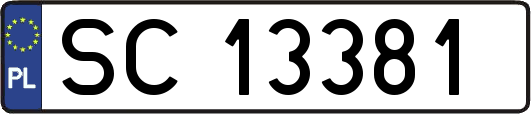 SC13381