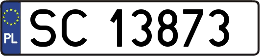 SC13873