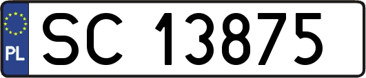 SC13875
