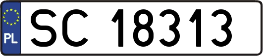 SC18313