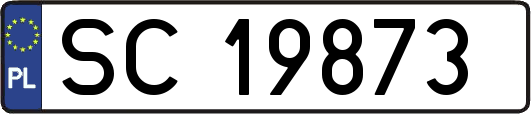 SC19873