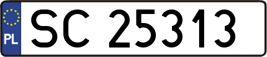 SC25313