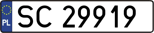 SC29919