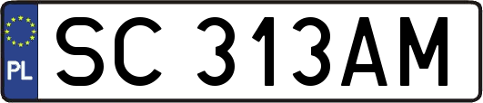 SC313AM